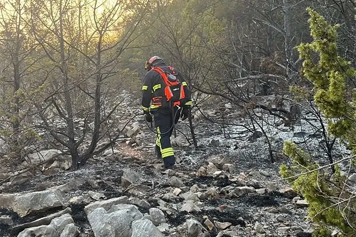 Gore šume i raslinje širom juga Hercegovine: Vatrogasne ekipe neprestano u akciji