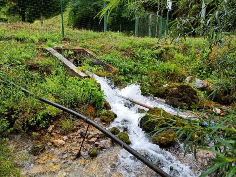 TIP Dekorativa demantira Zadrićevo pismo s vijeća, tvrdi da mu je ribnjak ilegalan