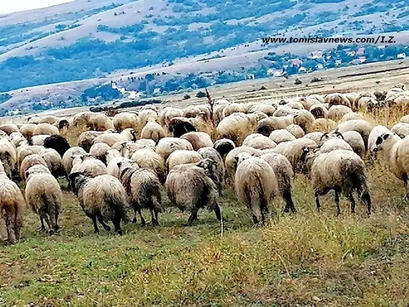 DOBRO vam oblačno, kišno i toplo jutro iz Tomislavgrada!