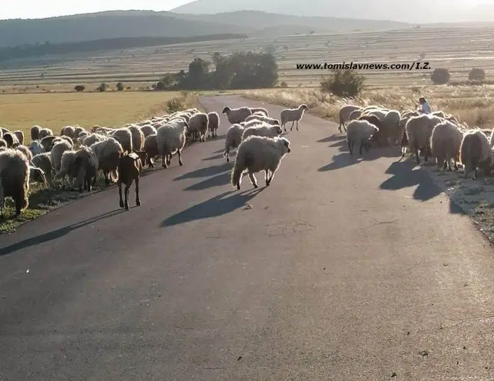DOBRO vam umjereno oblačno i toplo jutro iz Tomislavgrada!