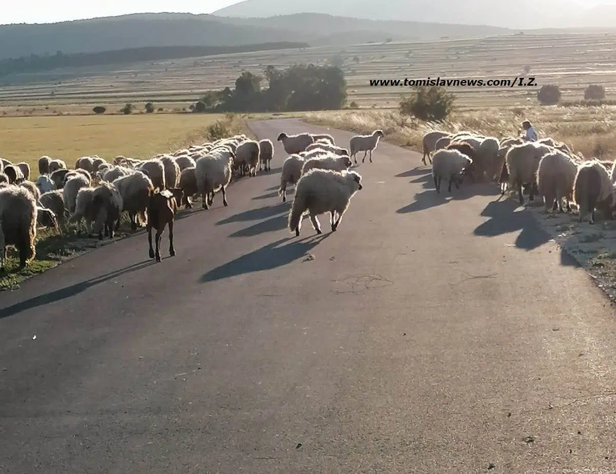 DOBRO vam umjereno oblačno i toplo jutro iz Tomislavgrada!
