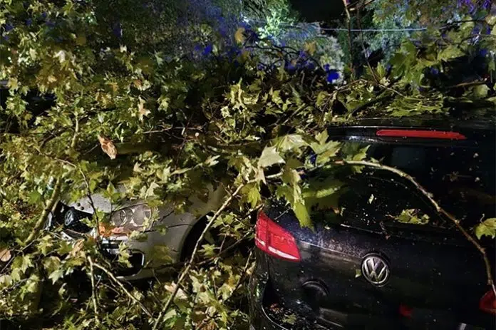 FOTO | CZ o nevremenu u Čapljini: Oštećena auta, ičupana
