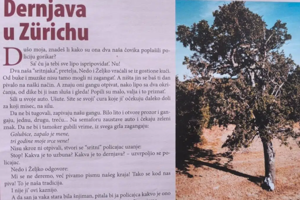 Priča Naših ognjišta: Dernjava u Zürichu