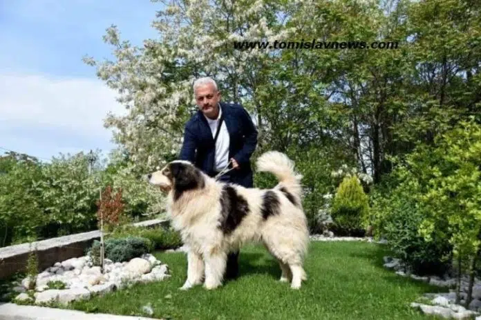 Tomo Raič iz Rakitna napravio gusle od plastičnog otpada!