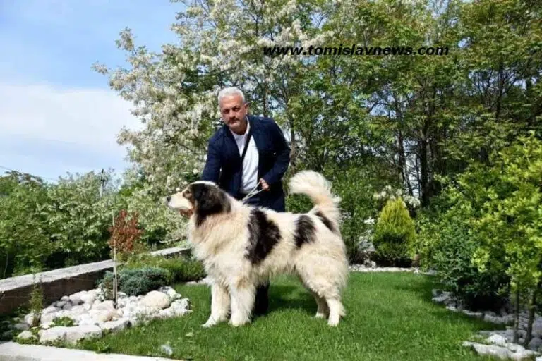 Tomo Raič iz Rakitna napravio gusle od plastičnog otpada!