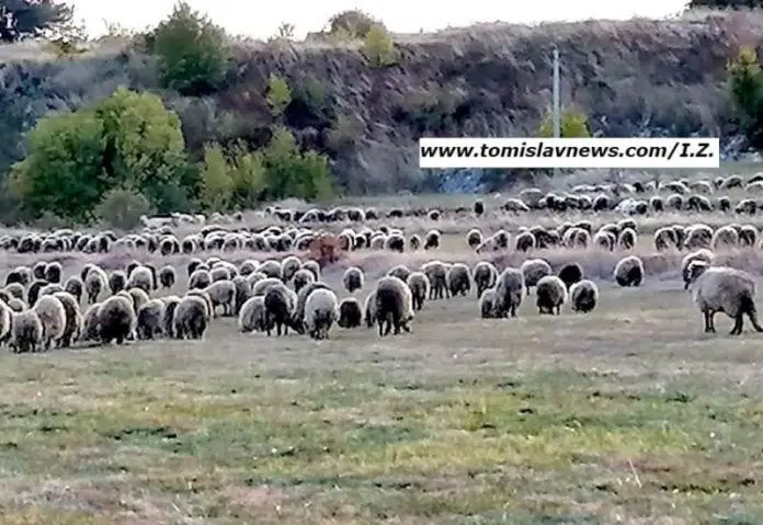 DOBRO vam oblačno i tiho jutro iz Tomislavgrada!