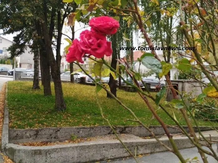 DOBRO vam oblačno i tiho jutro iz Tomislavgrada!