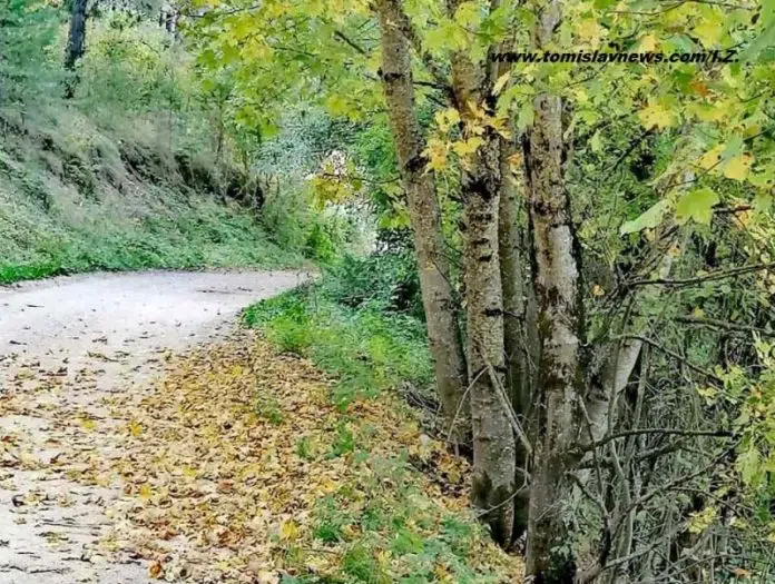 DOBRO vam oblačno i vjetrovito jutro iz Tomislavgrada!