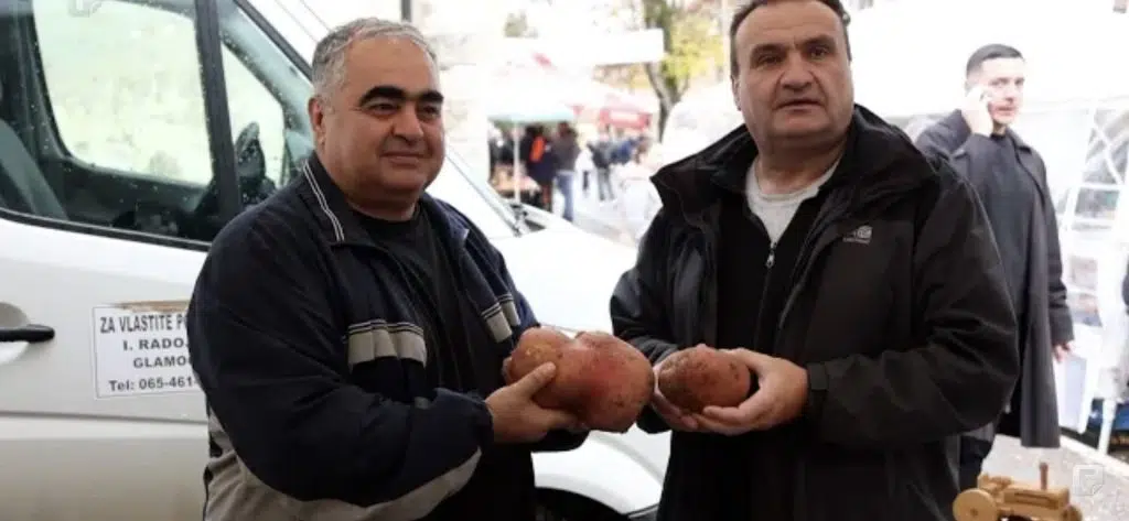 HBŽ: Održani “Dani glamočkog krumpira”, najveći krumpir težio više od dva kilograma