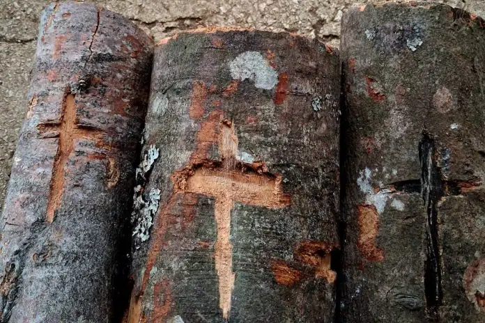 Badnjak nekada – prisjećanje naših baka
