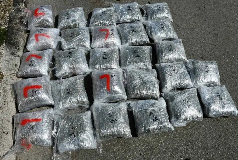Kupovali i u BiH: Uhićeni zbog šverca tone marihuane, prodali već 900 kg, novac ulagali u nekretnine