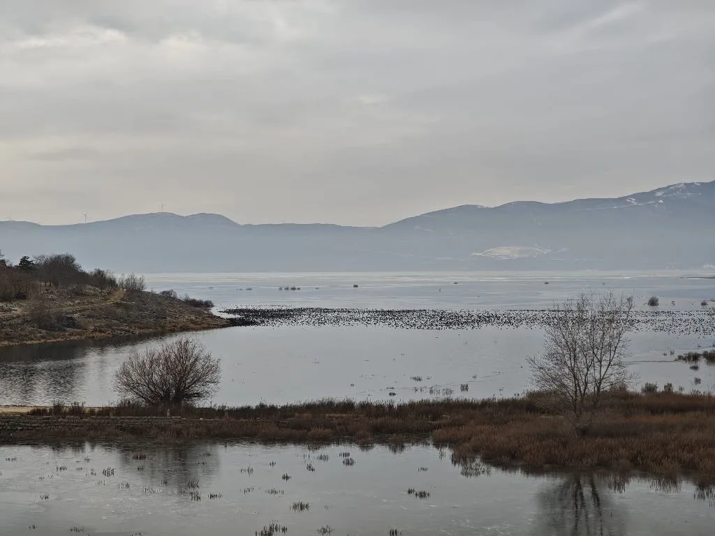 Crtica uz Buško jezero (foto /video)