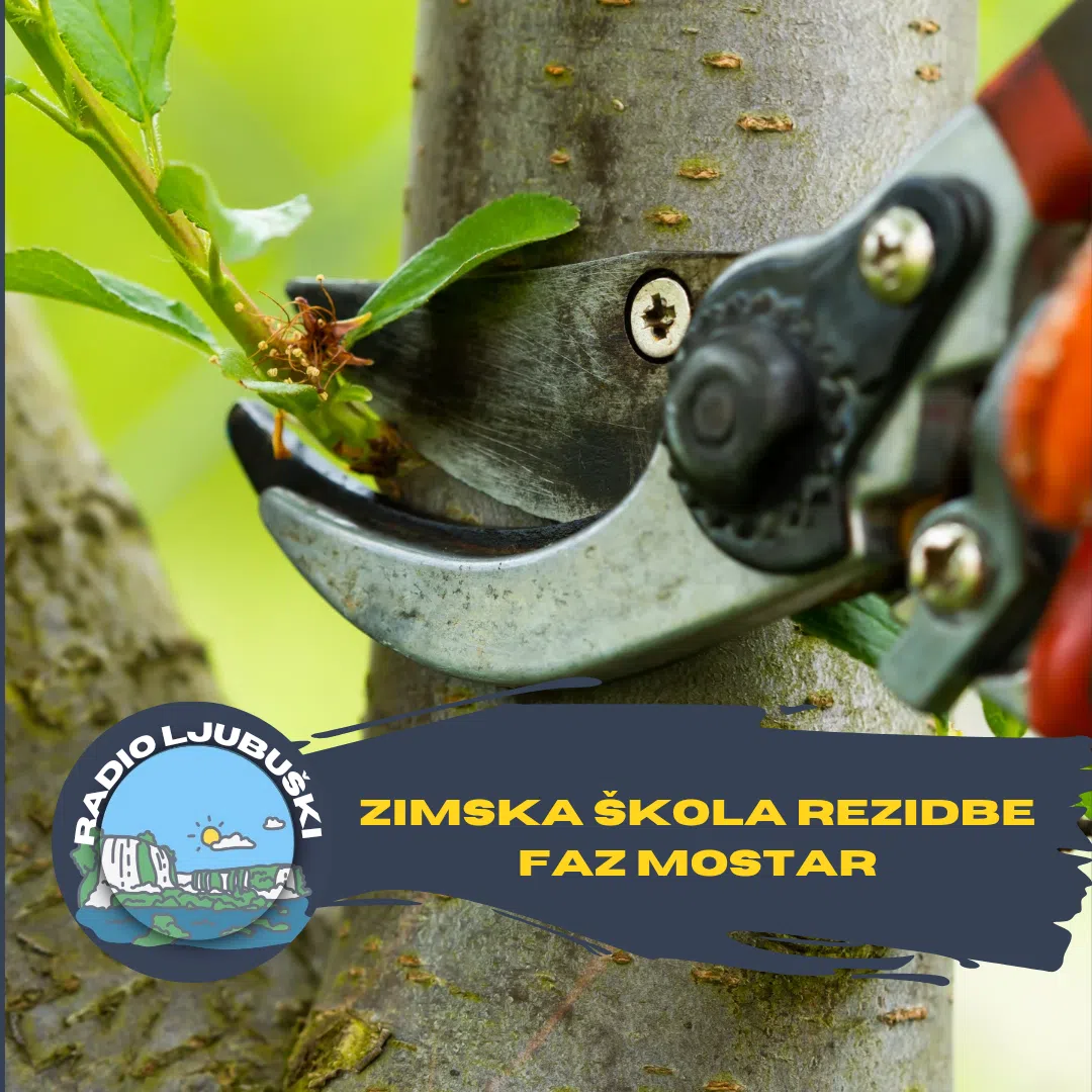 FAZ Mostar organizira zimsku školu rezidbe vinove loze i voćaka