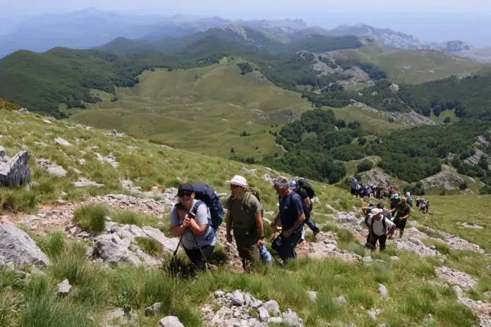 Razvojni program Ujedinjenih naroda u BiH raspisao Javni poziv za