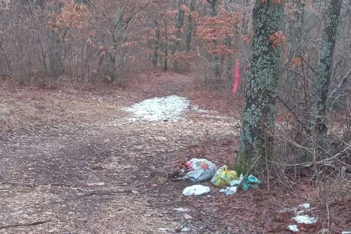 Usred gaja Kologaja…