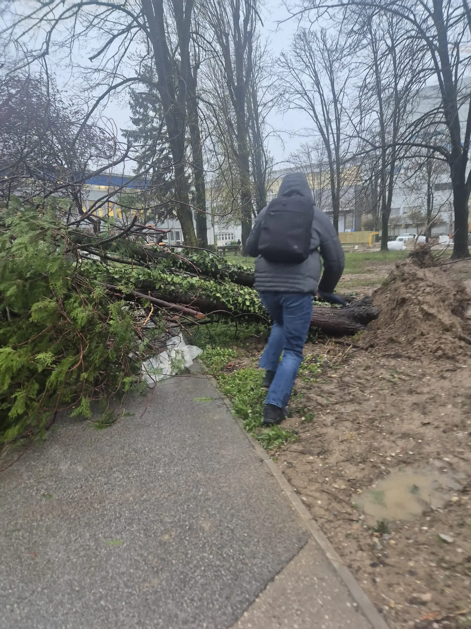 Zagreb poharalo olujno nevrijeme: Otkazana nastava i paraliziran promet