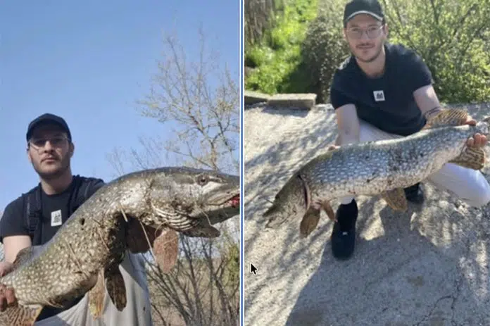 FOTO | Impresivan ulov na Trebižatu: Domagoj Jurković uhvatio veliku