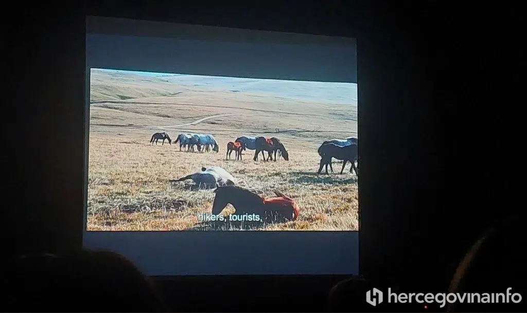 FOTO  Kad priča o livanjskim konjima nije kao na razglednici: U Mostaru prikazan film koji otkriva drugu stranu