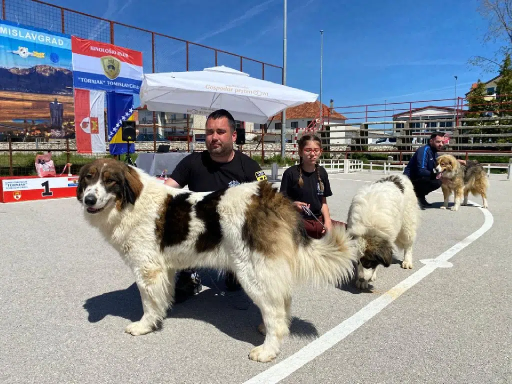 Tornjaci u središtu pažnje: Kup kralja Tomislava u Tomislavgradu
