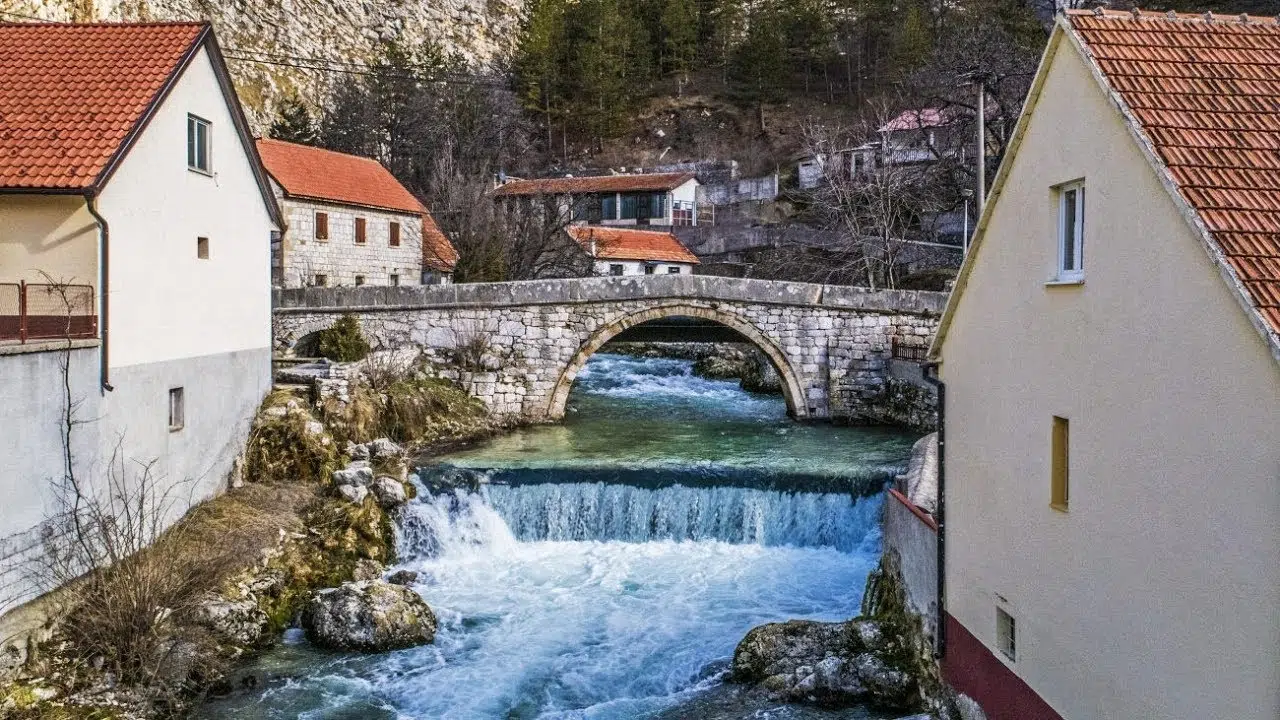 Miljan Konta / Mogu samo reći da smo generalno lopovska nacija!