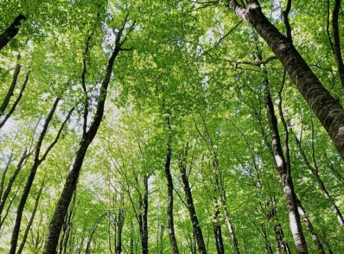 Objavljen Javni poziv za odabir korisnika namjenskih sredstava „Naknada za