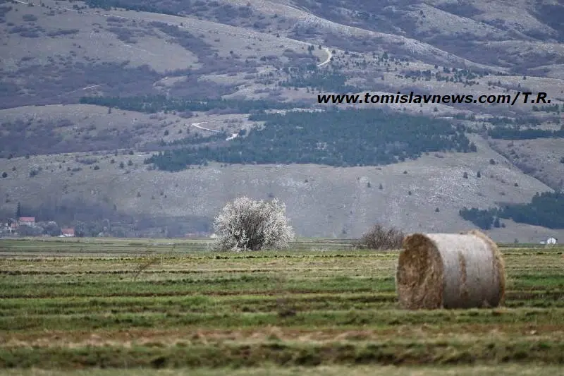 VIDEO: DOBRO vam umjereno oblačno i tiho jutro iz Tomislavgrada!