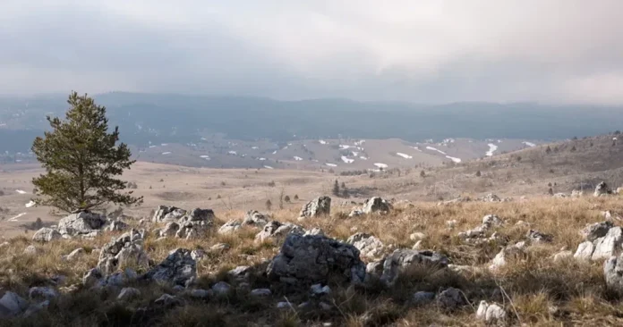 Dokazano da su bez prostornog plana mijenjali namjenu državnog zemljišta,