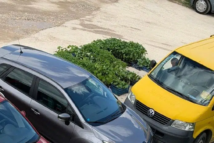 Javni apel stanara zbog nereda i zauzimanja parking prostora kod