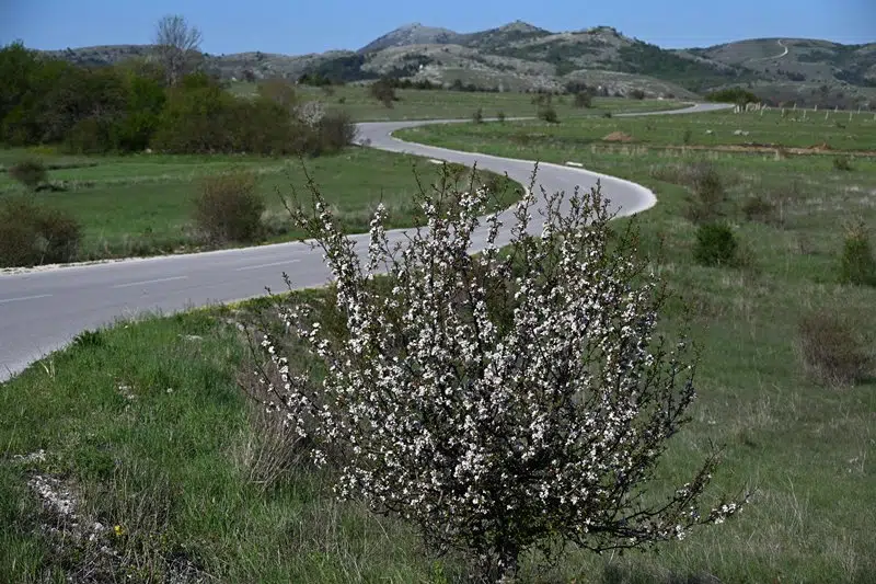 VIDEO: DOBRO vam pretežno vedro jutro iz Tomislavgrada!