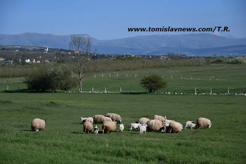 VIDEO: DOBRO vam vedro i razmjerno toplo jutro iz Tomislavgrada!