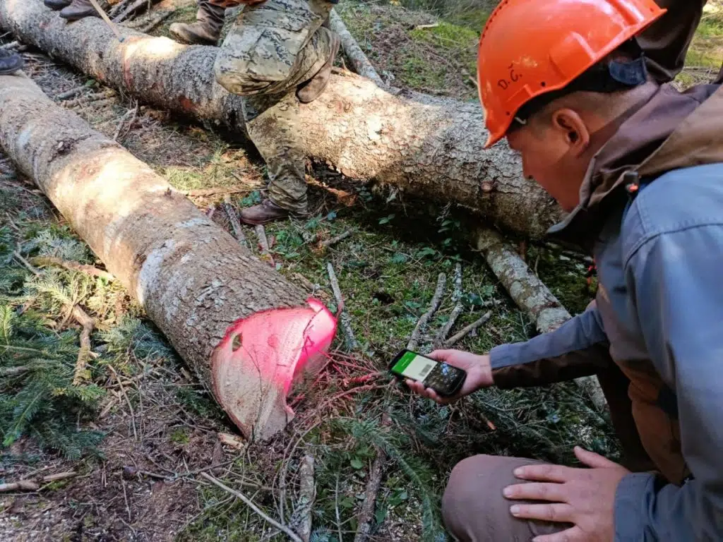 Hercegbosanske šume objavile izvješće o poslovanju, zabilježen rast prihoda u odnosu na godinu prije