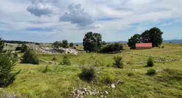 Poklečani