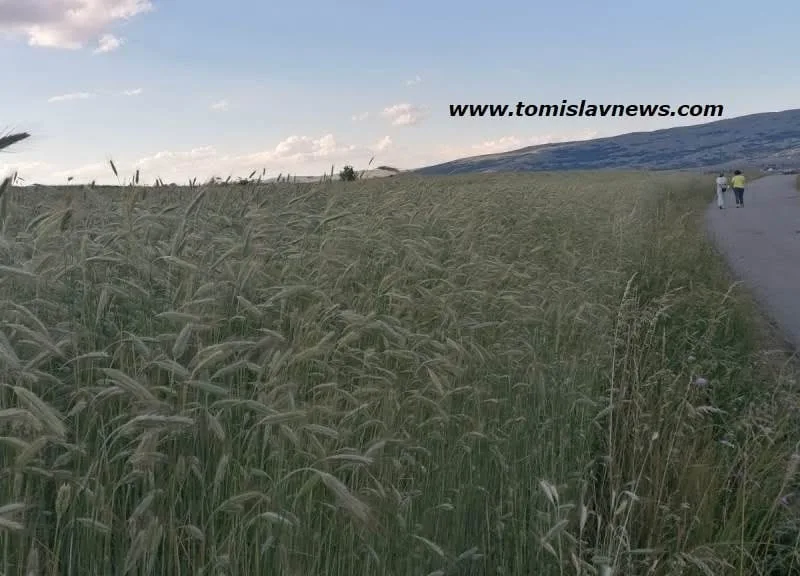 VIDEO: DOBRO vam vedro i toplo jutro iz Tomislavgrada!