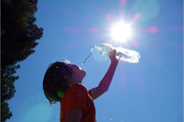 Sladić: Stiže toplotni val, temperature do 41°C, najveći problem sparina