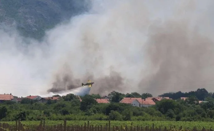1783594389_Mostar-Mladic-21-uhicen-s-marihuanom-i-amfetaminom-–-hipba.jpeg