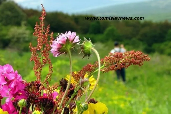 VIDEO: DOBRO vam umjereno vedro i toplo jutro iz Tomislavgrada!