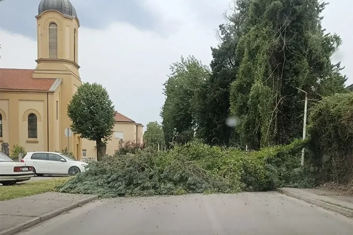 FOTO | Čapljina najpogođenija nevremenom: Stabla padala po cesti i vozilima