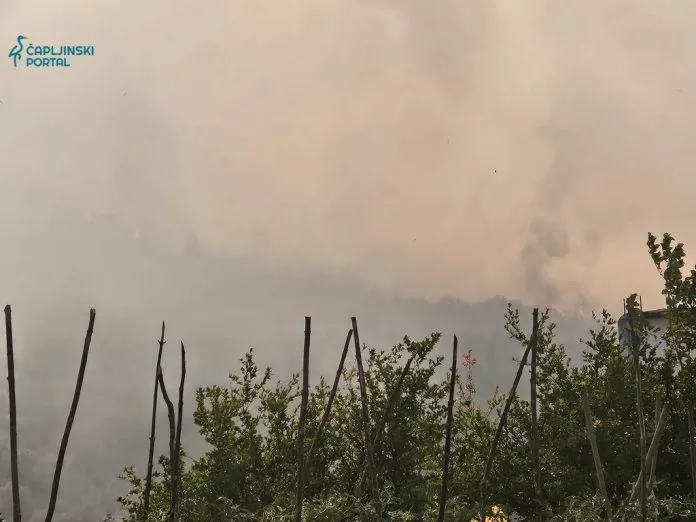 Čapljina: Požar pod kontrolom; nema materijalne štete