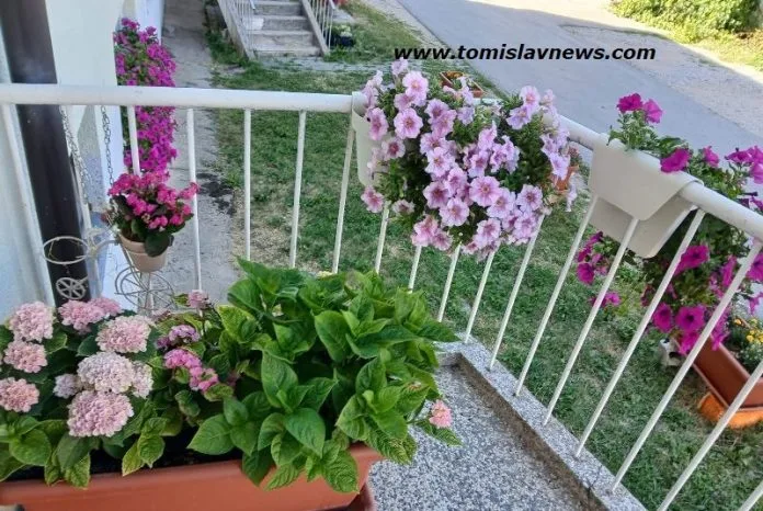 VIDEO: DOBRO vam vedro i mirisno jutro iz Tomislavgrada!