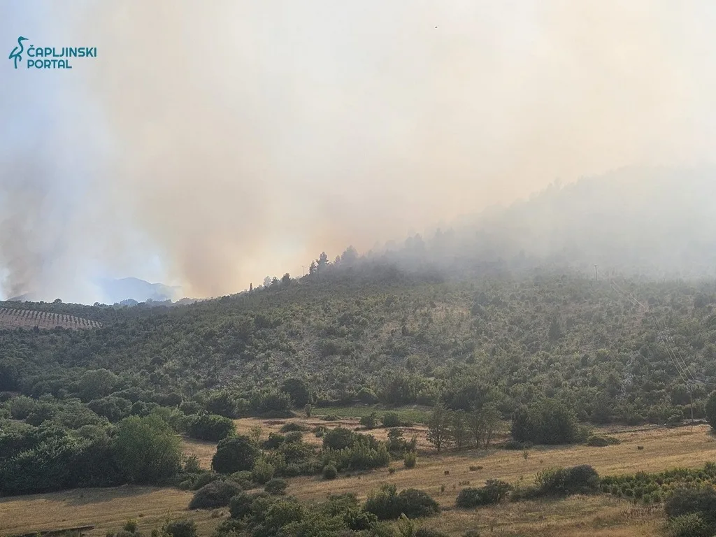 VIDEO | Pogledajte prizore iz zraka: Požarišta oko Čapljine pod gustim dimom