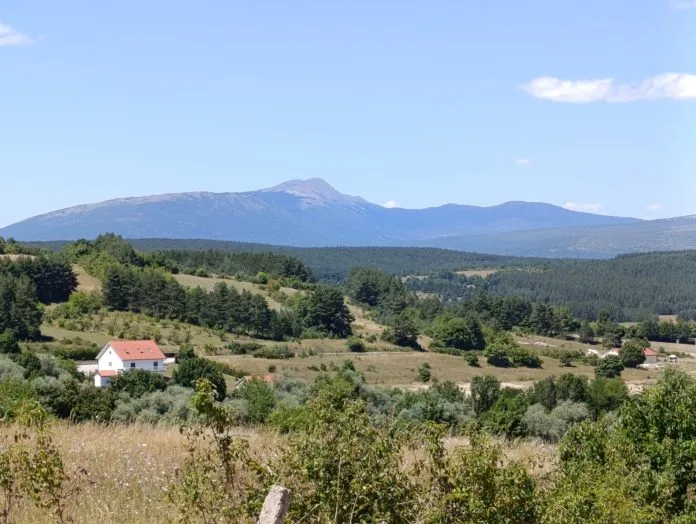 Želimir Čečura / Livanjski kraj – europski ekološki raj koji