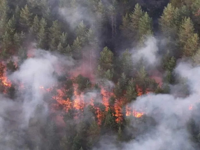 Borba s požarima u BiH traje danima, najteže kod Trebinja