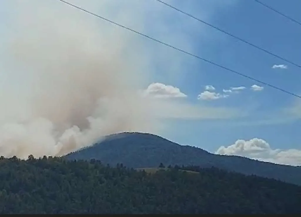 Požar kod Bosanskog Grahova zahvatio do 20 četvornih kilometara
