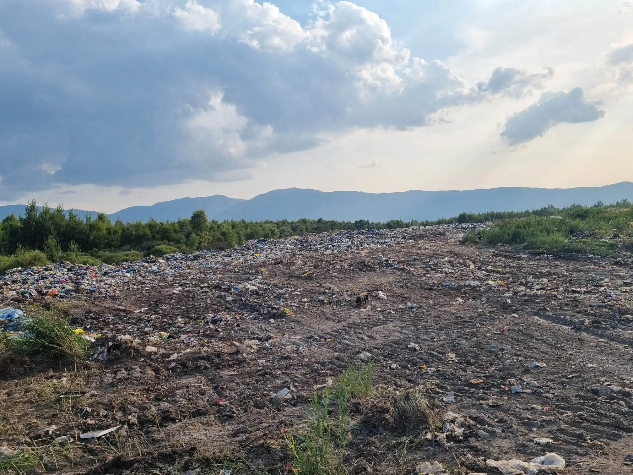 Cetinska krajino, znate li što vam je u zaleđu? Otpad u Livanjskom polju!