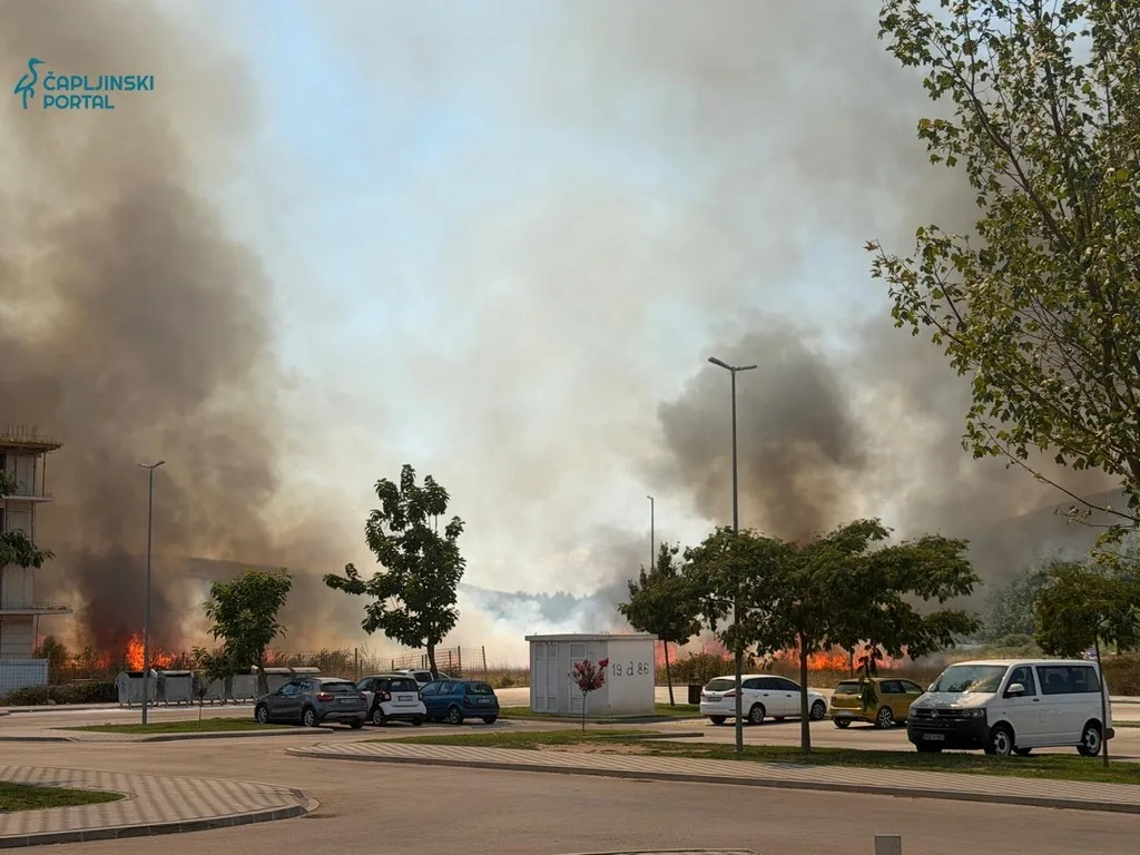 FOTO | Veliki požar u Pelinama: Ogroman stup vatre i dim nad naseljem, vatrogasci na terenu