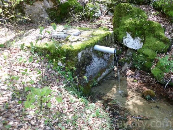 Lovci iz Tomislavgrada pune pojilišta kako bi divljač spasili od