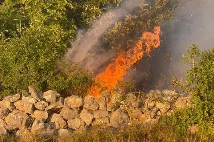 Požar u Dobrićima vatrogasci gasili gotovo četiri sata!