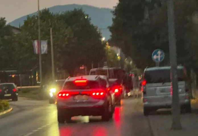 Stablo-se-srusilo-na-kupace-Ozlijedeno-dvoje-djece-i-dvoje.webp