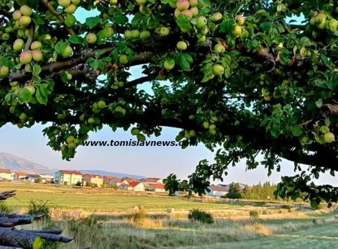 VIDEO: DOBRO vam pretežno vedro i toplo jutro iz Tomislavgrada!