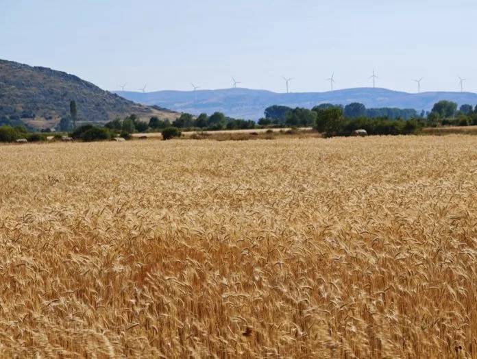 Vikend pred nama sunčan, početak sljedećega tjedna donosi kišu